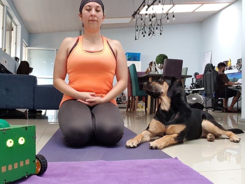 El Día Mundial del Yoga