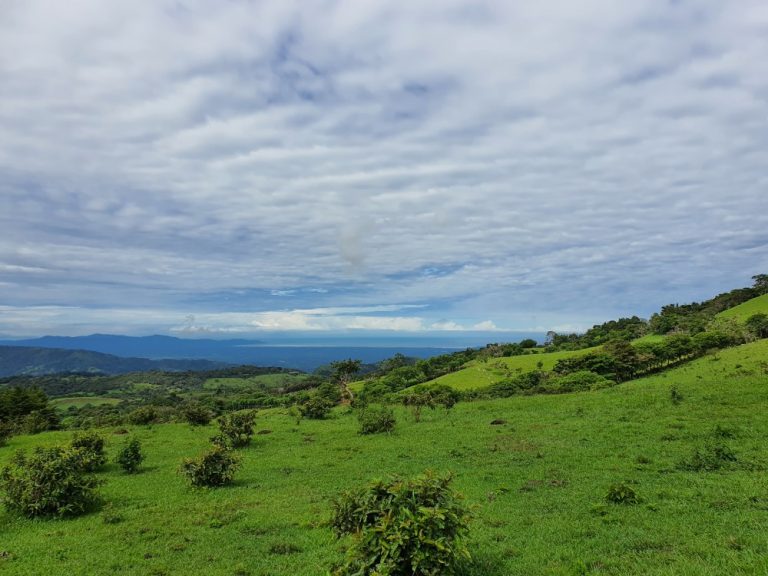 finca libertad pura mirador