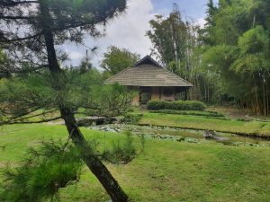 lankaster jardin japones