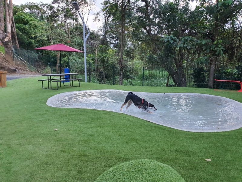 Via Guayabos Chiky piscina