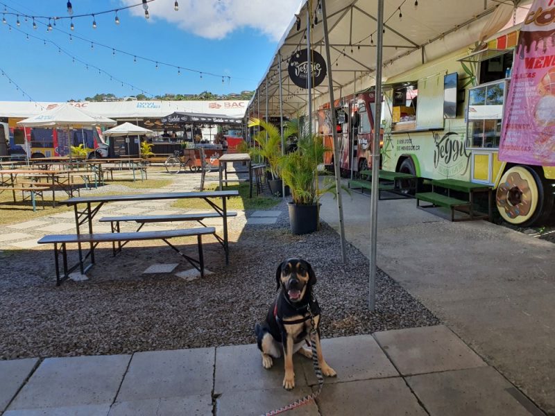 Calle Vieja Food Truck Park