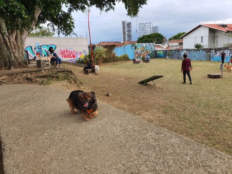 Parque de Perros en Freses