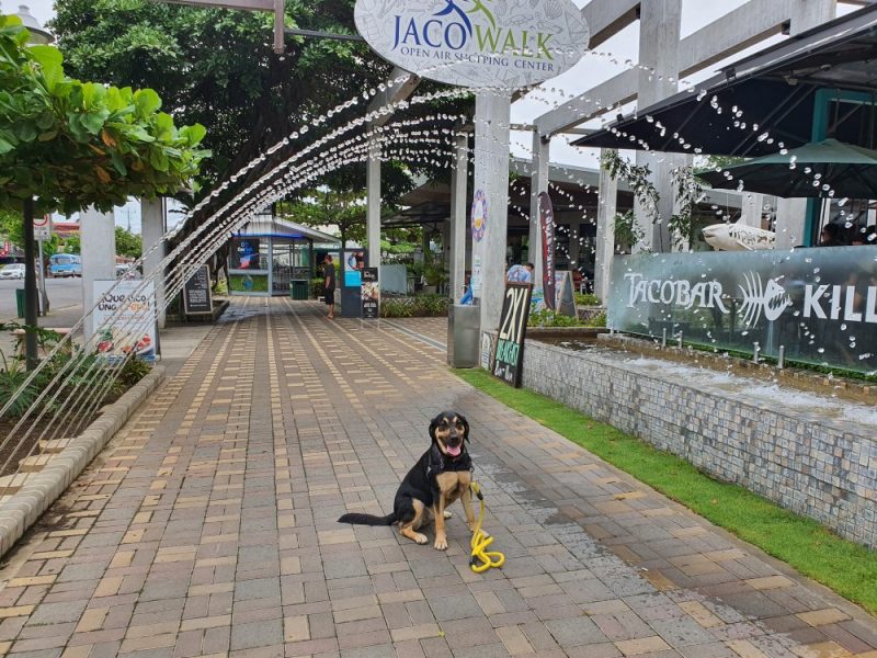Jacó Walk