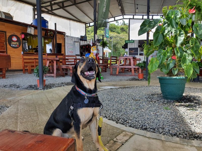 Contenedores Gastro Park 3