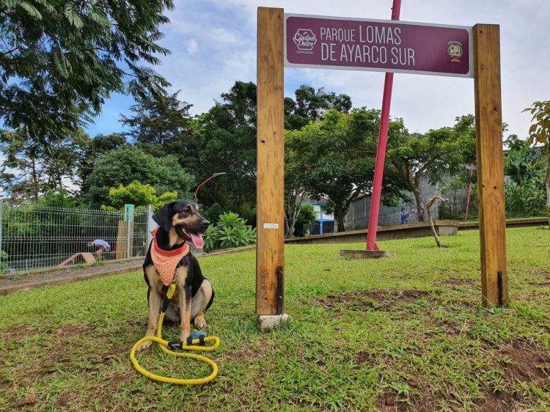 Parque de Perros en Lomas de Ayarco Sur