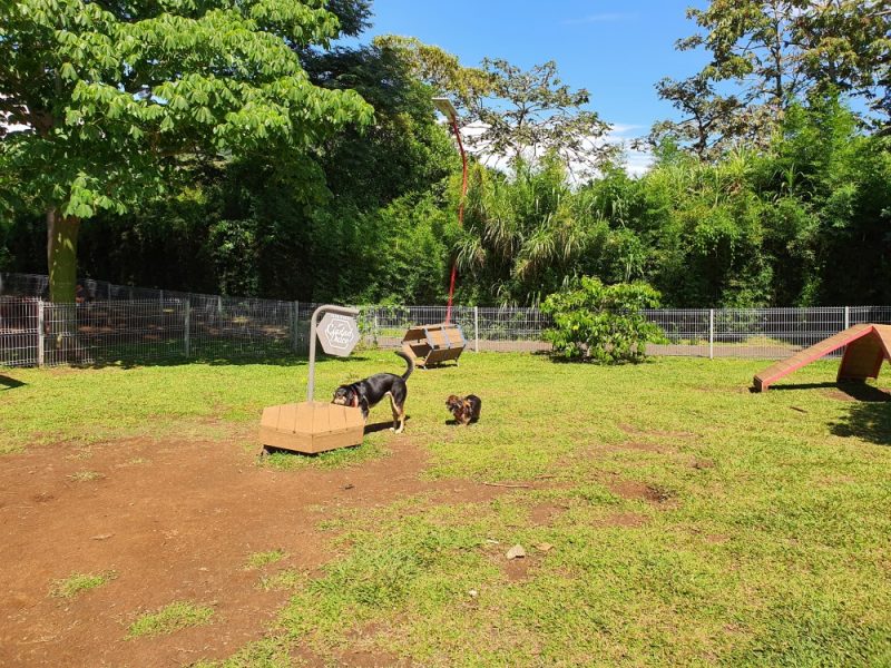 Parque de Perros Ayarco Sur 5