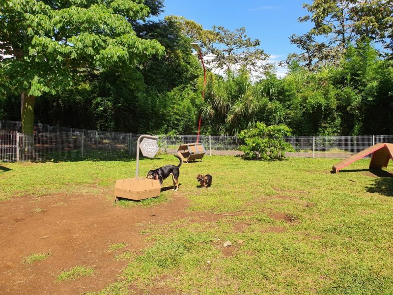 Parques para perros  Municipalidad de Curridabat