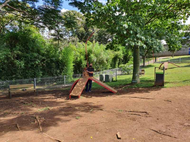 Parques para perros  Municipalidad de Curridabat