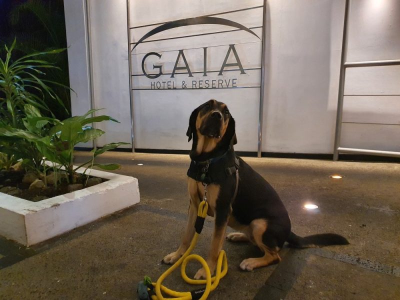 Hotel Gaia: La Experiencia para Avanzados