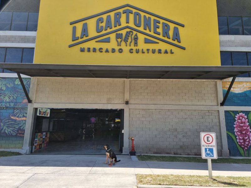 La Cartonera 1