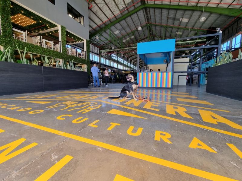 Mercado La Cartonera