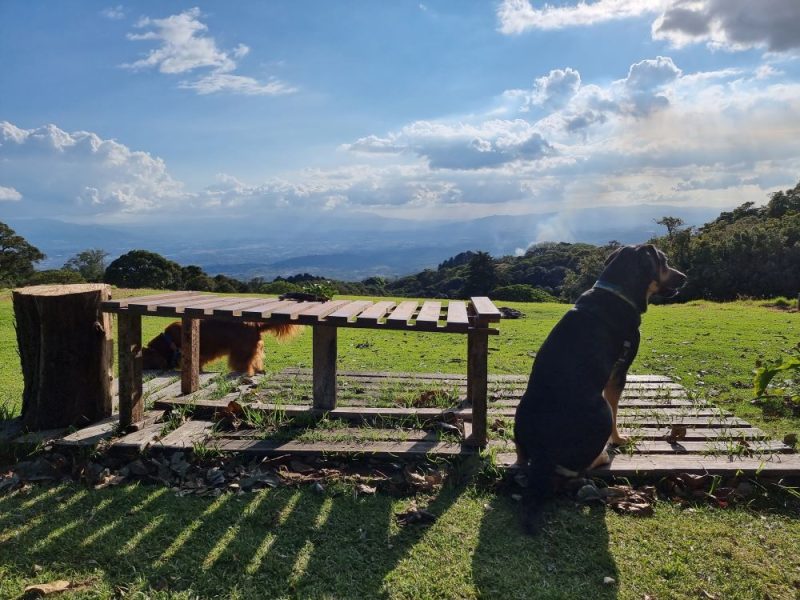 Finca La Colasa 2