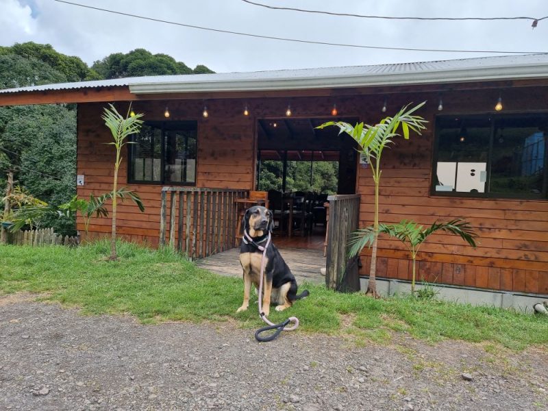 La Cabaña del Jardin 1